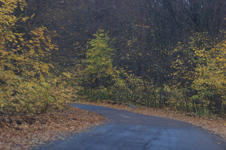 道路在秋天的风景