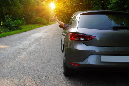 汽车阳光自然汽车在沥青路在自然照片