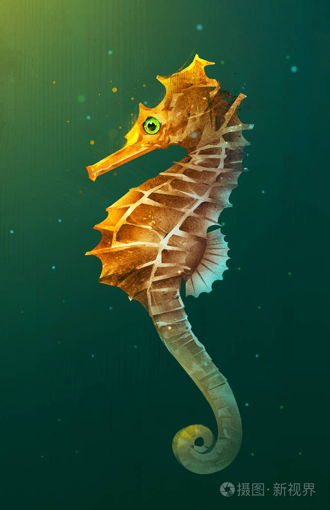 在水中绘明亮的海马