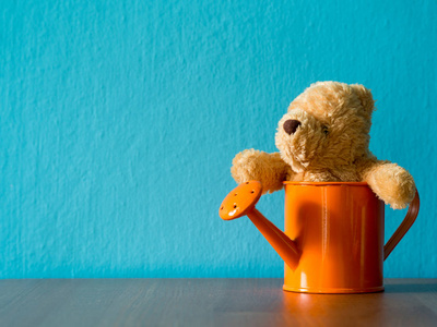 坐在橘子浇水罐里的泰迪熊放在木桌上。背景是绿松石和复制空间的内容