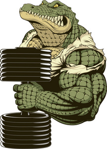 爪子鳄鱼凶猛的强鳄鱼照片