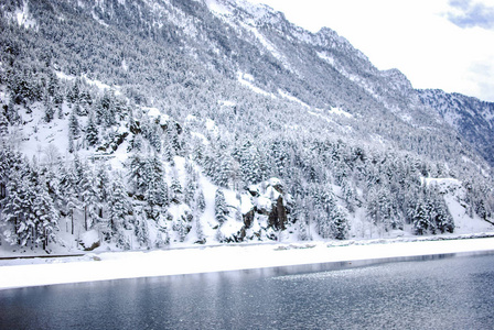 冬季雪景图片