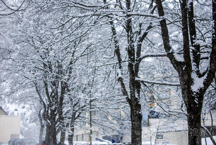 冬季雪景