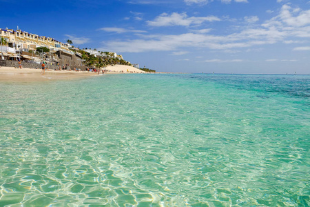 加那利群岛岛 Matorral 海滩