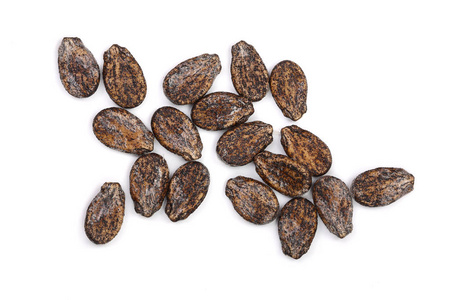 干西瓜种子图片