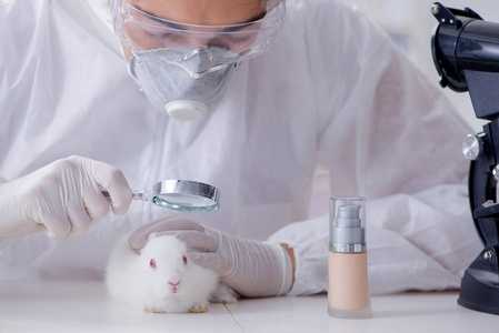 科学家做动物实验用兔实验室里图片