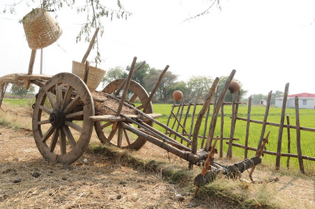 农村牛车图片大全