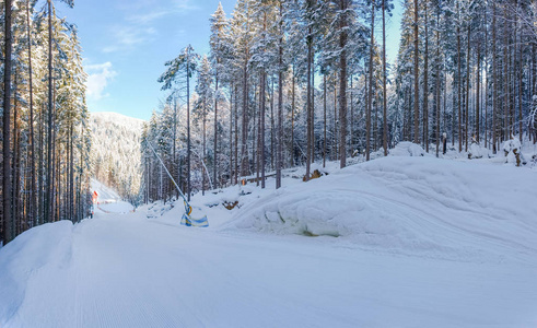 喀尔巴阡山滑雪胜地森林中的滑雪滑雪