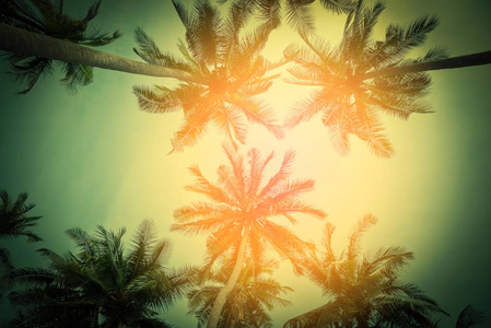 日落海滩上的剪影椰子棕榈树。复古色调