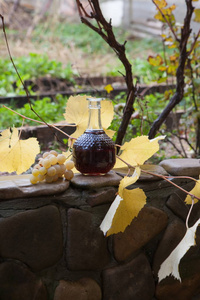 红葡萄酒葡萄和秋叶的静物