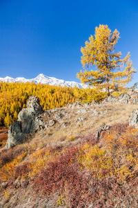 落在山。景观全景