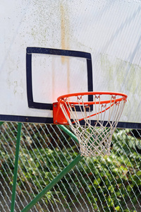 篮球网箍