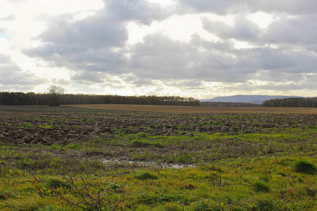 查看 Klet overmeadow, 田野和树木。捷克风景