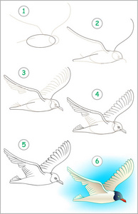 页显示如何学习一步一步画一只海鸥。培养儿童绘画和着色技能
