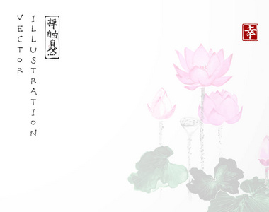 白莲花插画 白莲花手绘 白莲花卡通图 摄图新视界 白莲花插画 白莲花手绘 白莲花卡通图 摄图新视界