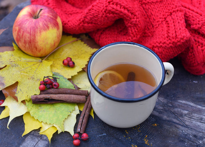 一张户外照片, enamalled 杯热茶秋叶红色针织围巾苹果和肉桂树枝