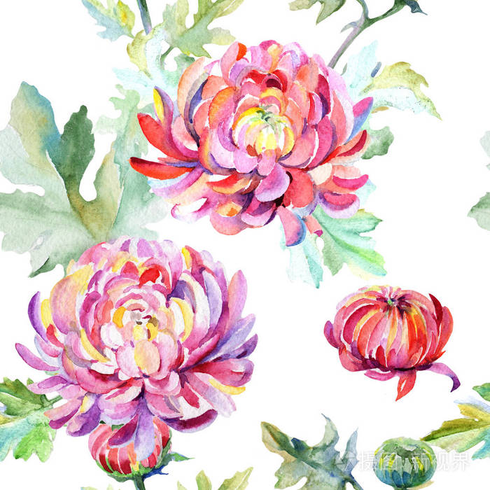 水彩风格的野花菊花图案