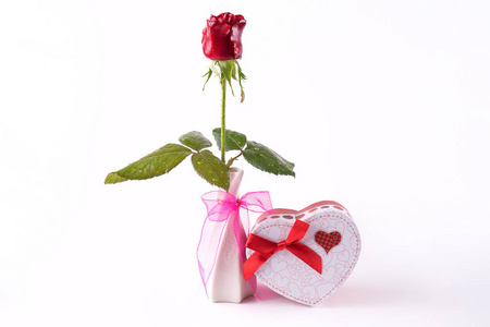 在一个白色的背景在一个花瓶的玫瑰, 礼物孤立