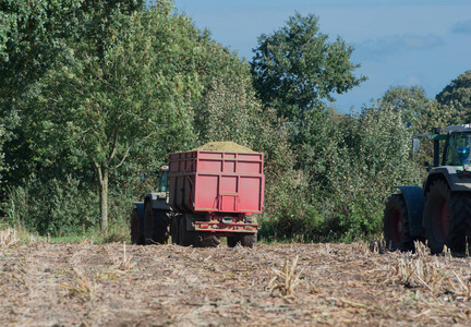玉米收获, 玉米饲料收割机在行动, 收获卡车用拖拉机