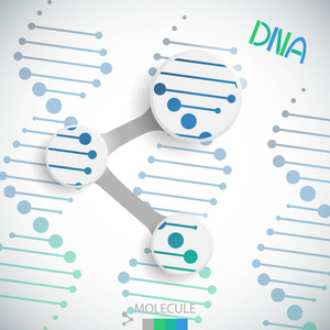 抽象的背景 dna。矢量