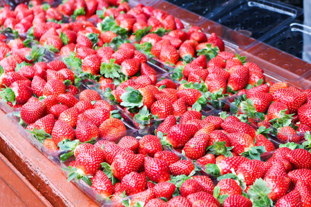 农场的新鲜草莓