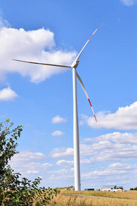 风电场可再生能源