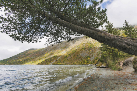 下 Multinskoe 湖, 阿尔泰山脉。俄罗斯。秋天风景