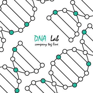 抽象的背景 dna。矢量