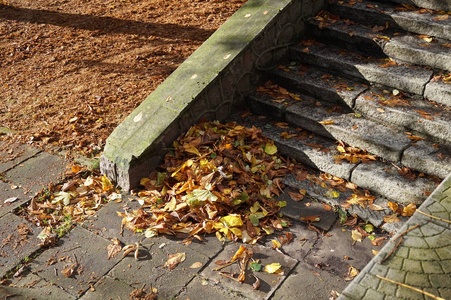 在 kenigsberg 公园的秋天台阶