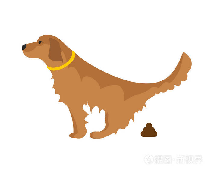 狗大便插图