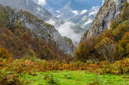 秋季山风景