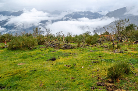 秋季山风景