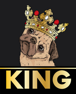 皇冠上的一只漂亮的哈巴狗。矢量插图为明信片或海报, 打印的衣服。狗时髦的衣服。时尚和风格。滑稽的小狗