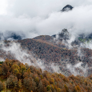 秋季山风景