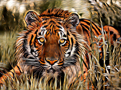 虎艺术插图颜色