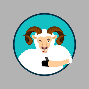 绵羊农场动物快乐表情.我照片