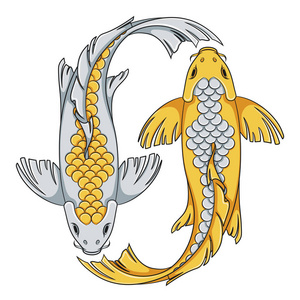 彩色的插图与黄金和白银有色锦鲤鱼。孤立的矢量对象