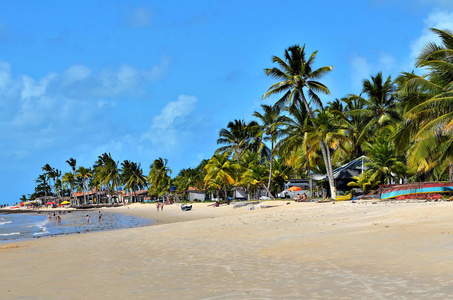 在阳光明媚的白天和蓝天在波尔图塞古罗港海滩, 巴伊亚, 巴西的椰子树