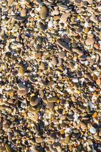 夏天海滩上的海石