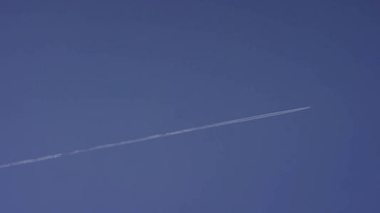 在泥浆中的海狸足迹图片