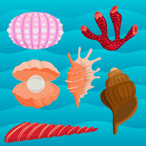 海贝壳海洋卡通蛤壳和海洋海星珊瑚矢量图