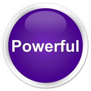 强力优质紫色圆形按钮