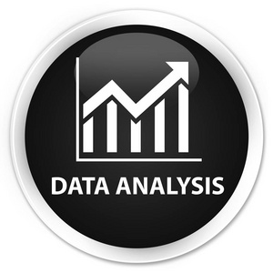 数据分析 统计图标 高级黑色圆角按钮
