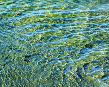浅绿色海水在沙底荡漾照片