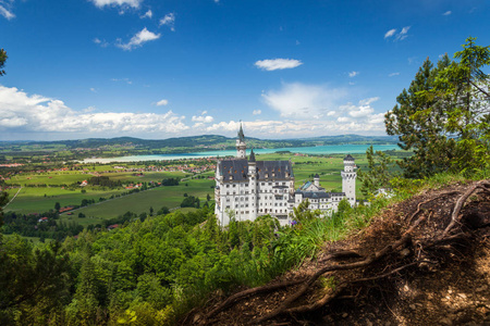 天鹅城堡是宫殿在福森附近在巴伐利亚