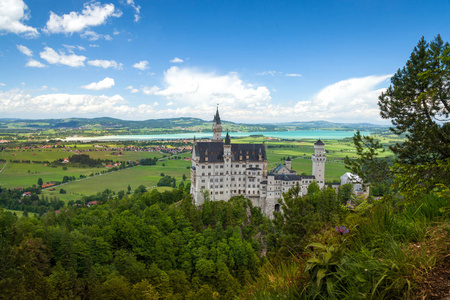 天鹅城堡是宫殿在福森附近在巴伐利亚