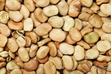原始的豆作为背景