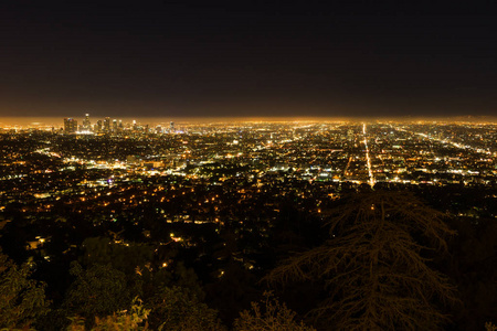 从格里菲斯天文台鸟瞰洛杉矶城市夜景