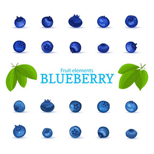 一个新鲜的蓝莓的向量集。新鲜的蓝色浆果和树叶。收集成熟的蓝莓水果元素包装设计果汁, 早餐, 果酱, 冰淇淋, 冰沙, 化妆品