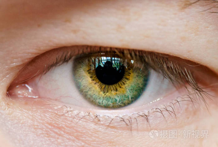 男性的绿眼睛宏